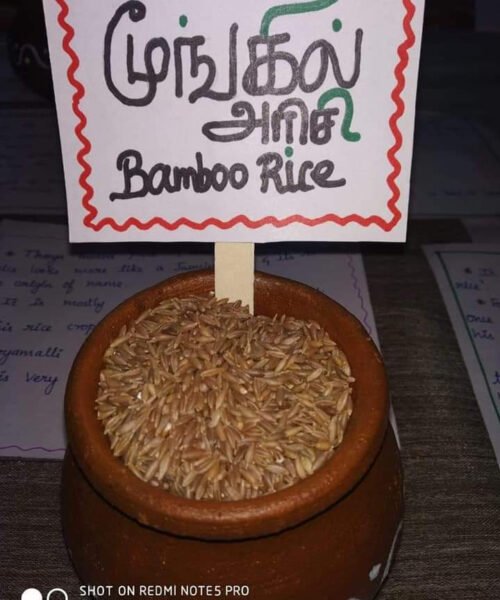 Bamboo rice மூங்கில் அரிசி