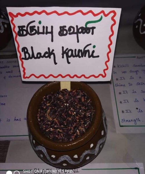 Black rice கருப்பு கவுனி