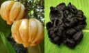 குடம்புளி
