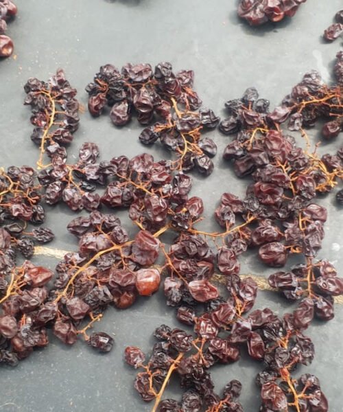 நாட்டு பன்னீர் விதை உலர் திராட்சை black seed grapes