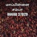மாப்பிள்ளை சம்பா ஒரு கிலோ